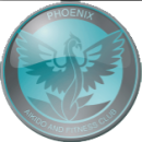 Phoenix Logo2